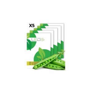 5 ps. Ærtefrø - Lav, Kelvedon Wonder