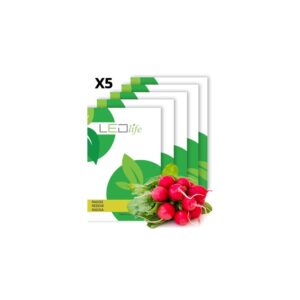 5 ps. Radisefrø - French Breakfast 3, Raphanus sativus