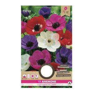 Anemone De Caen mix - 15 løg