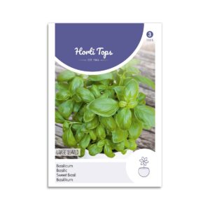 Bredbladet basilikum frø