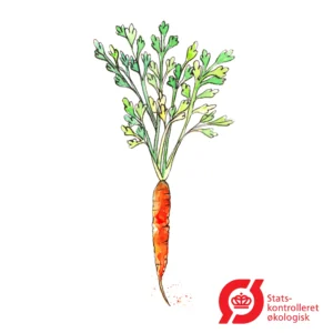 Gulerod - frø (øko)