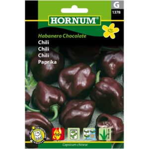 Habanero Chocolate - chili frø