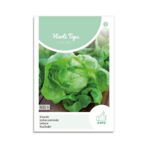 Hovedsalat frø - "Hilde II"