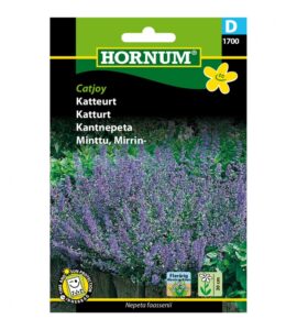 Katteurt - catjoy, frø - Kattemynte (D) Hornum