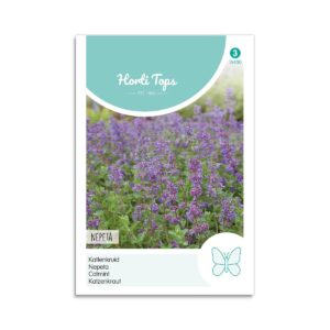 Katteurt frø "Nepeta" - Horti Tops