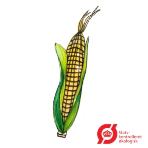 Majs - frø (øko)