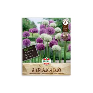 Prydløg Maxi "lilla og hvid" - 15 løg