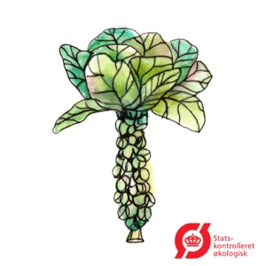 Rosenkål - frø (øko)