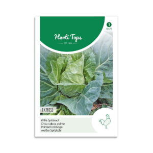 Spidskål frø - "Express"