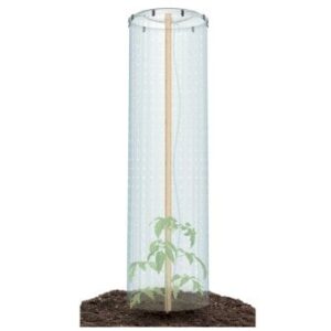 Tomato Grower Cap mini drivhus til tomatpotte Transparent folie, med låg