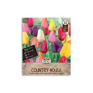 Tulipan blanding "Country House" - 12 løg