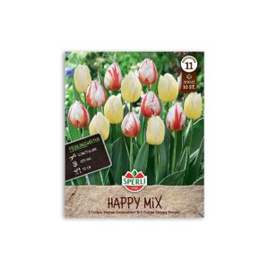 Tulipan blanding "Happy Mix" - 10 løg