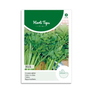 Ved at dyrke bladselleri fra frø, får man en aromatisk plante, som trives godt i den danske køkkenhave, hvis den vel og mærke får nok vand og næring.