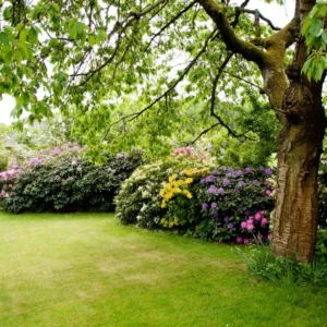 En sund have kræver gødning for at sikre stærk vækst, smukke blomster og et godt udbytte i køkkenhaven.