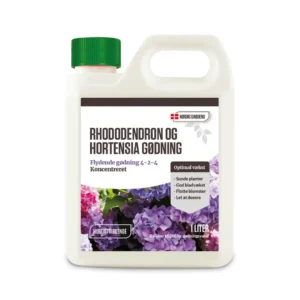 Hortensia gødning er vigtigt for at få sunde planter med kraftige blomsterstande