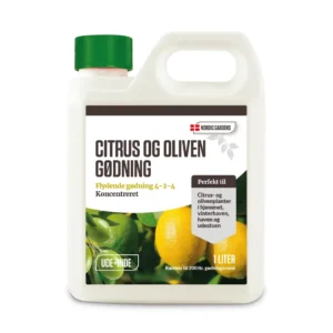 Oliventræer har brug for en næring, der minder meget om den, som citrusplanter skal bruge - derfor bør man bruge en "citrus og oliven gødning" til dem