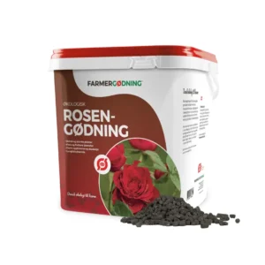 Fordi roser er meget næringskrævende planter, er det vigtigt, at man anvender rosengødning