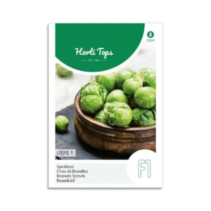 Ved såning af rosenkålsfrø, kræver det en lang vækstsæson og en del tålmodighed, men resultatet er en hårdfør afgrøde, der kan give friske grøntsager efter den almindelige høstsæson